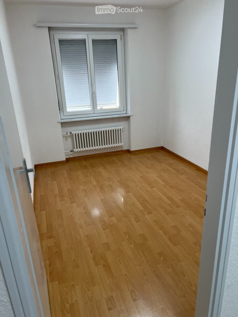 Luminoso appartamento 3.5 locali IRAGNA (2)
