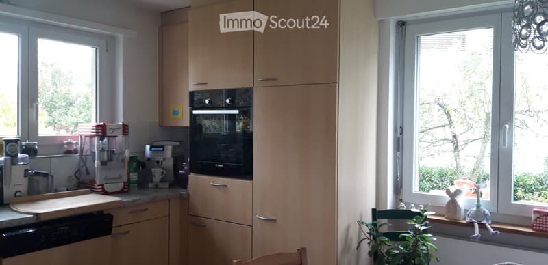 Maison individuelle dans un quartier calme (4)