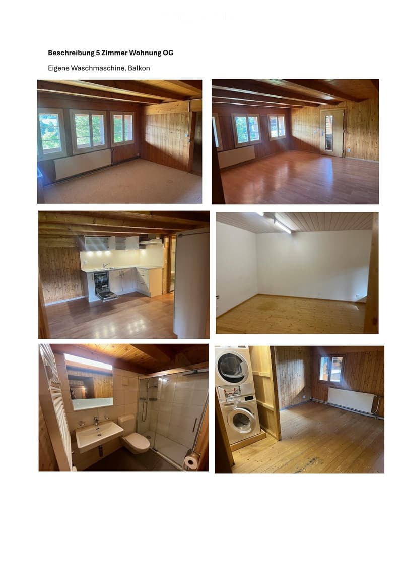 3,5 camere, 5 camere e appartamento vacanze in affitto (3)
