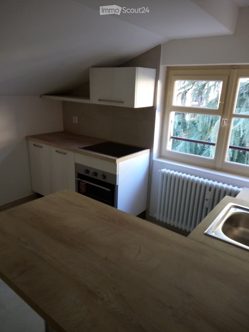Rent in Lugano Cassarate 2.5-room apartment (2)
