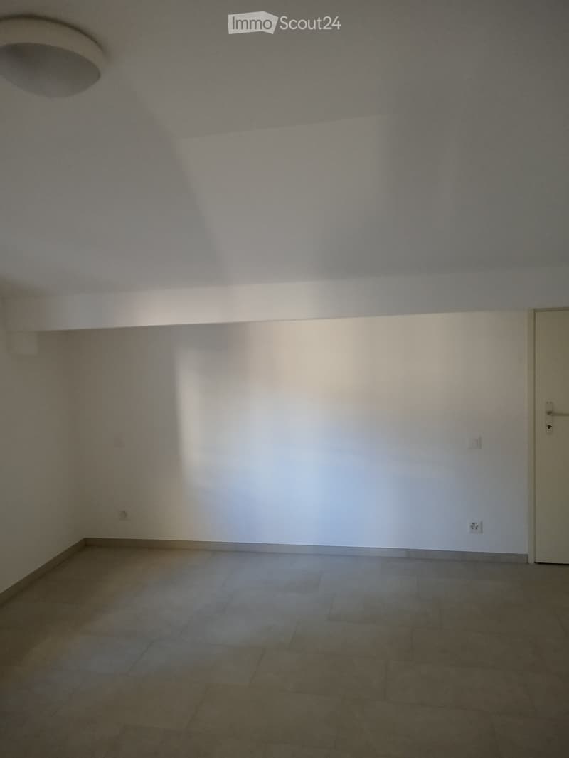 Rent in Lugano Cassarate 2.5-room apartment (5)