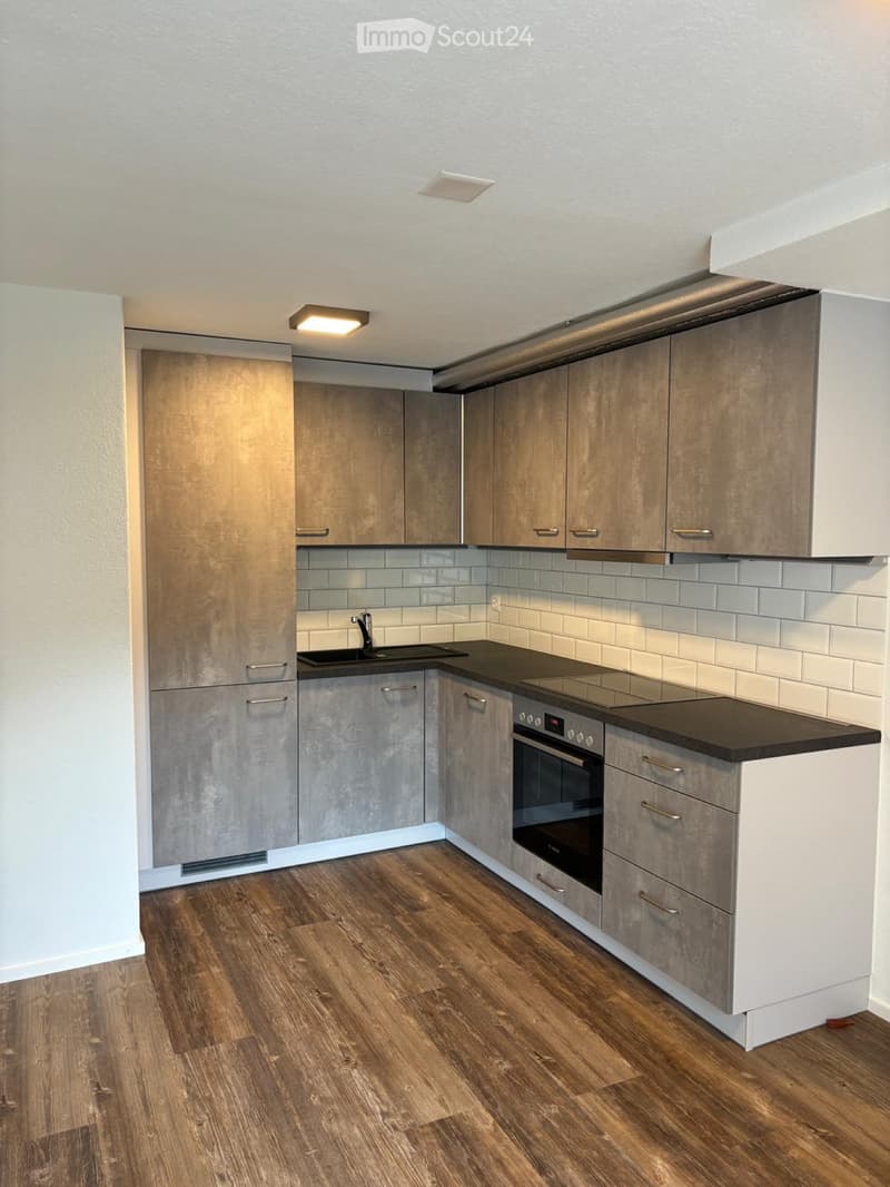 To Rent in Näfels CHF 1'450.00 incl. NK (4)