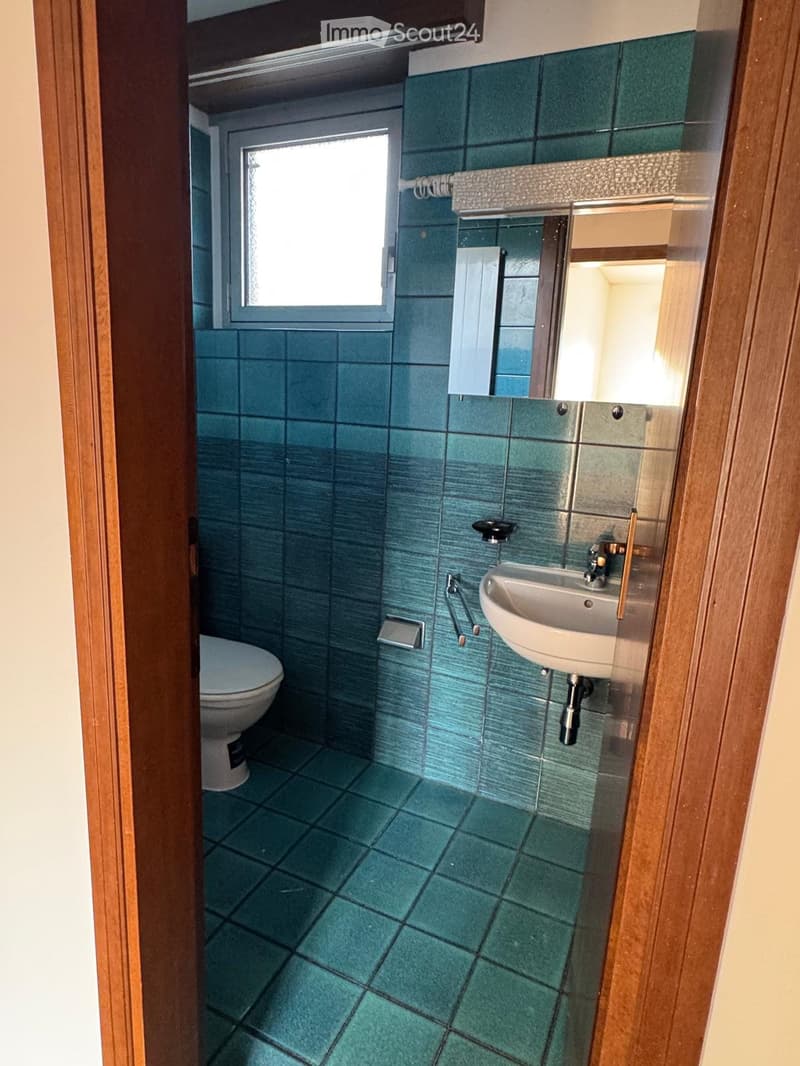 Appartement à louer de 3,5 pièces au troisième et dernier étage (4)