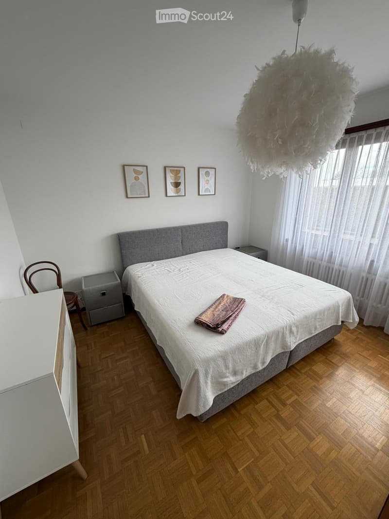Appartamento 3 locali ammobiliato con giardinoDino (Lugano) (3)