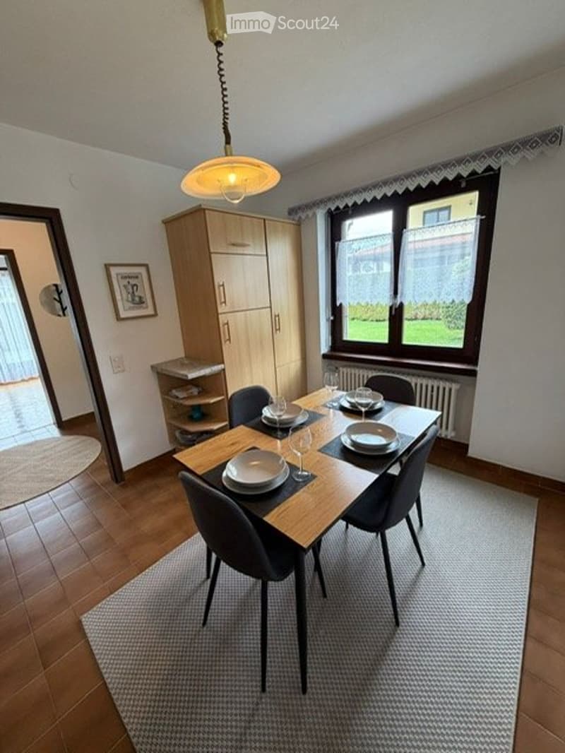 Appartamento 3 locali ammobiliato con giardinoDino (Lugano) (5)