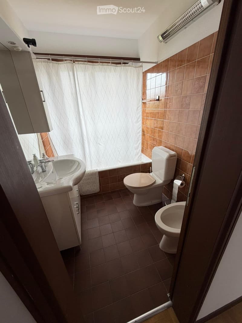 Appartamento 3 locali ammobiliato con giardinoDino (Lugano) (2)