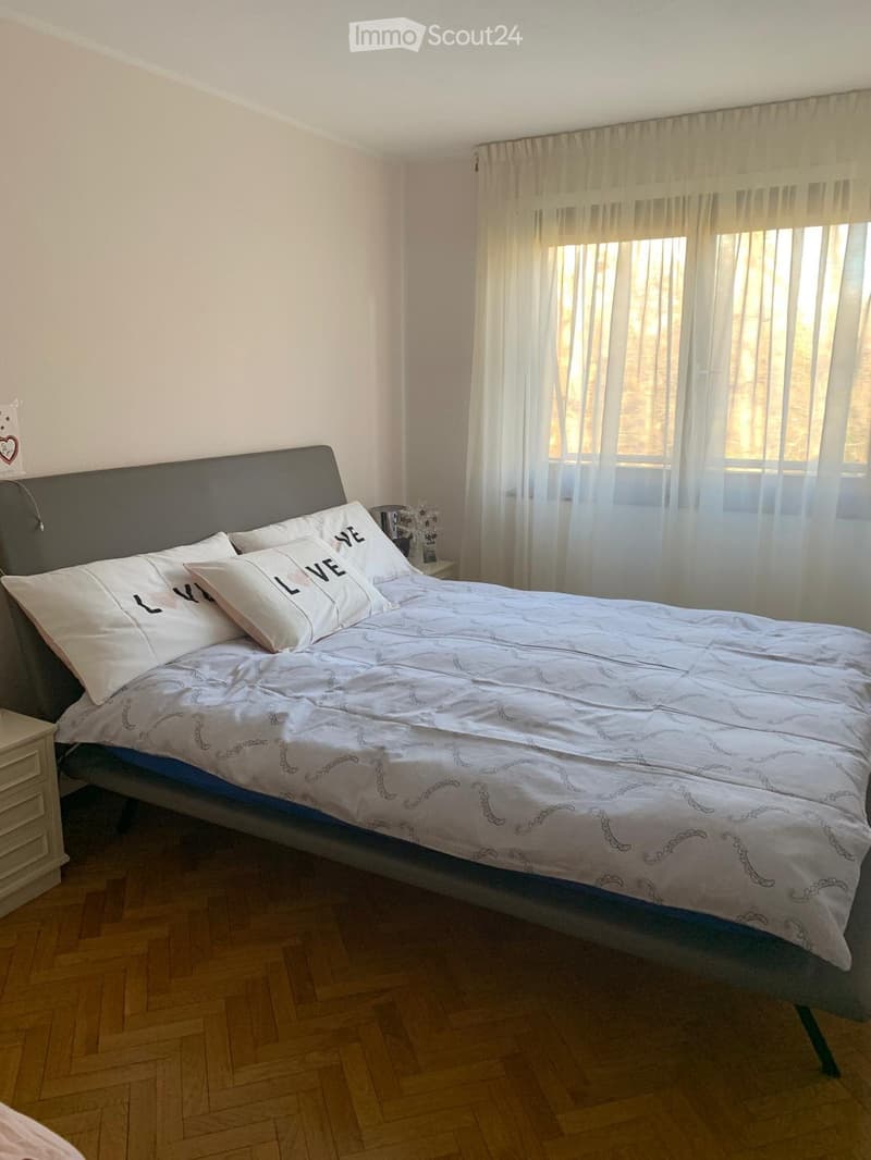 Cerco subentrante  2.5 locali a Comano (Lugano) (4)