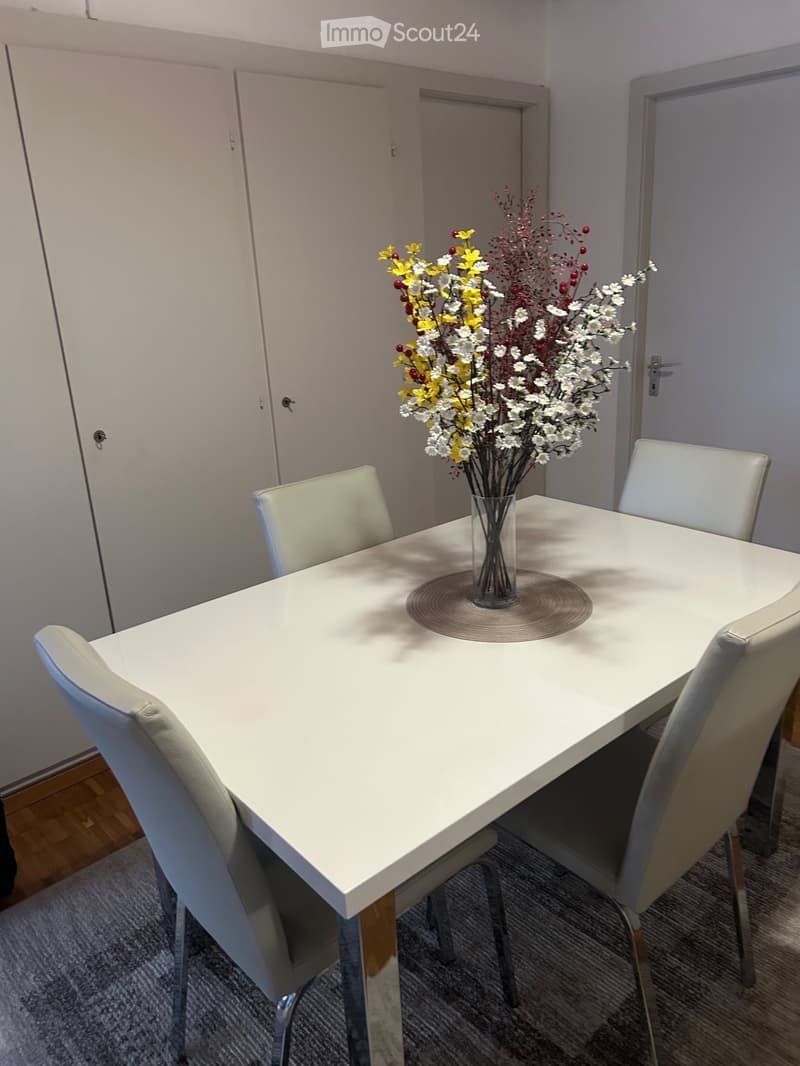 Apartment for rent (4)