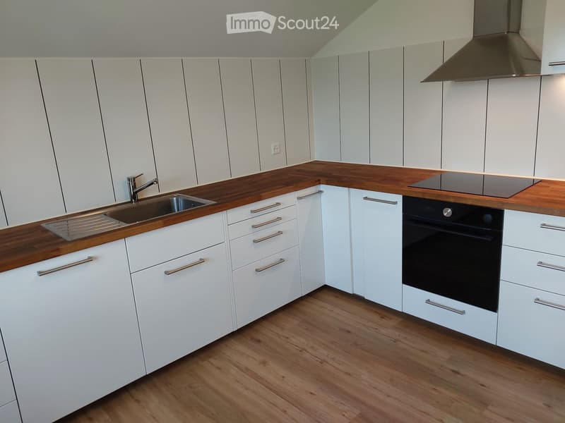 Appartement moderne de 4,5 pièces à Oberdorf Gontenschwil (4)