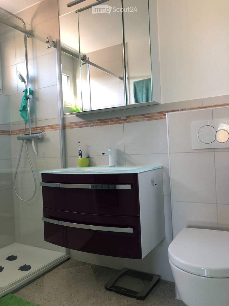 Vend 4,5 pièces appartement (5)