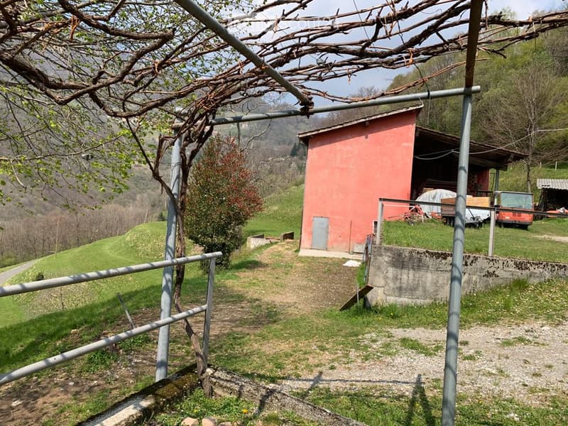 Vente d'une ferme (2)