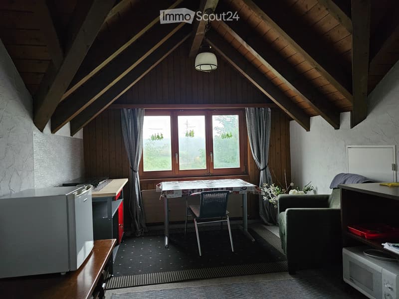 Studio meublé dans maison unifamiliale à louer (5)