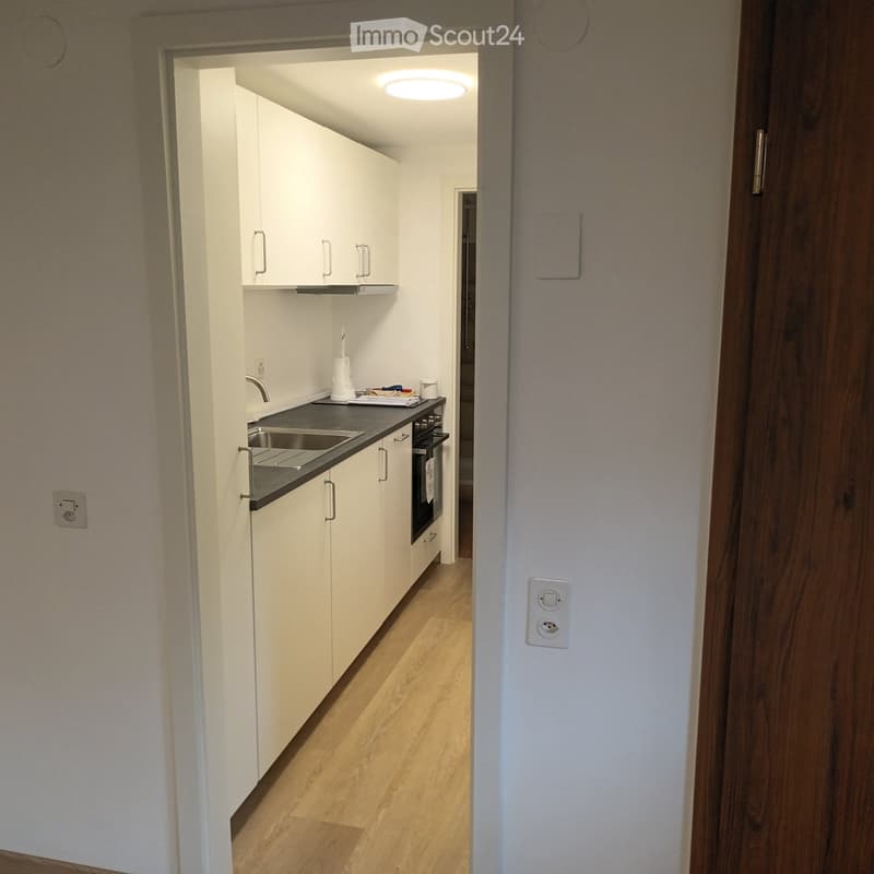 Appartement d'une pièce au rez-de-chaussée (3)