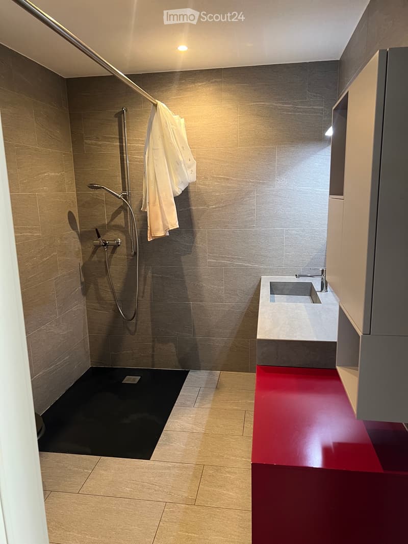 Appartement 2 et 1/2 (2)