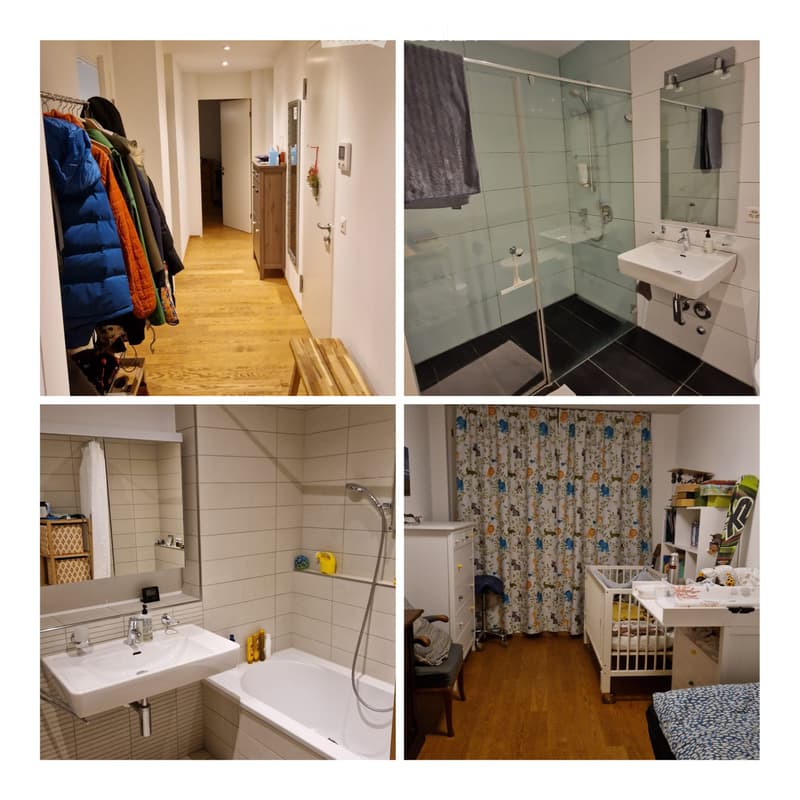 4.5 room apartment close to Milchbuck to sublet in May/June (3)