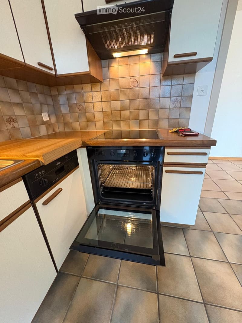 4.5 room apartment (4)