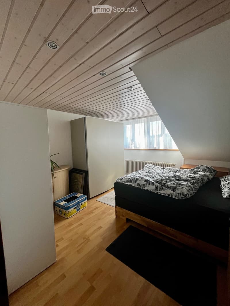 Casa unifamiliare indipendente sul Sonnenberg a Reinach AG (3)