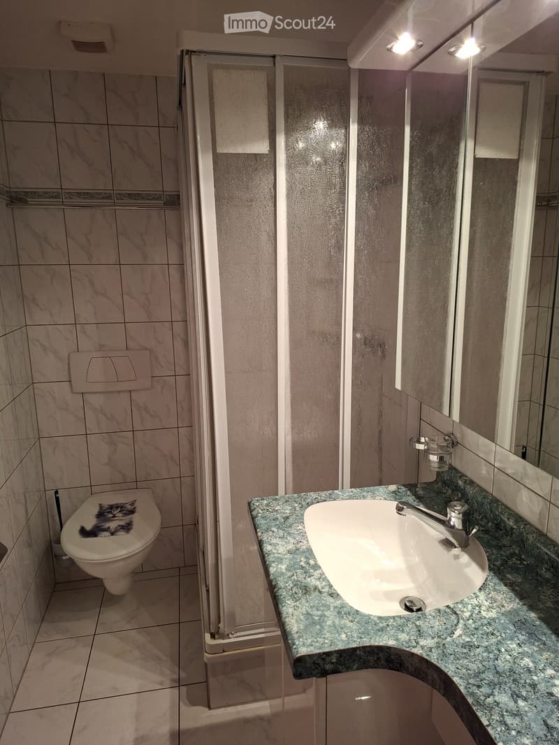 Furnished studio in Mund for rent (5)