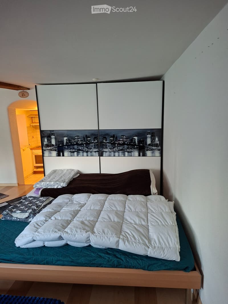 Furnished studio in Mund for rent (4)