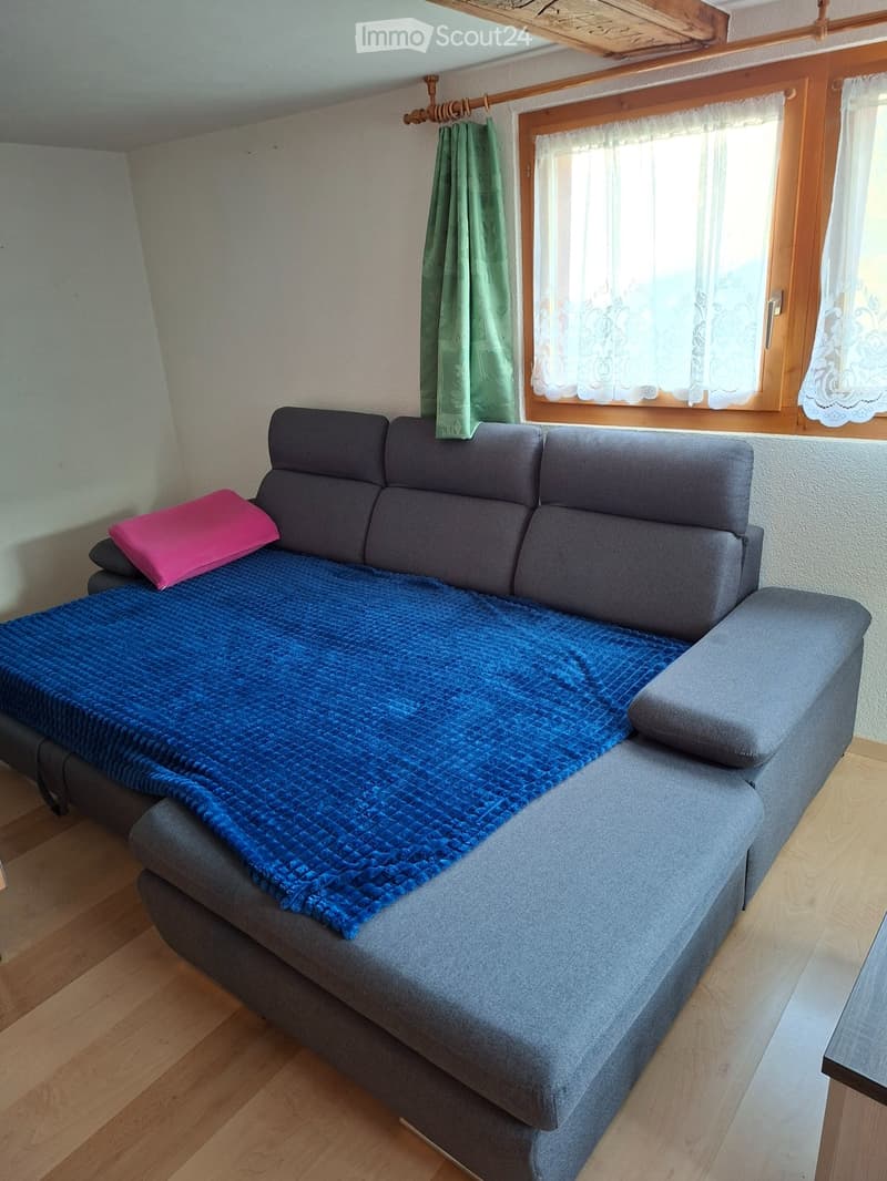 Furnished studio in Mund for rent (3)
