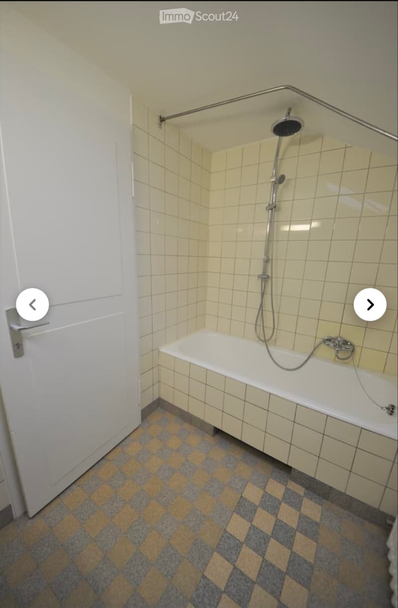 2 Bedroom Apartment for Rent in Reinach (5)