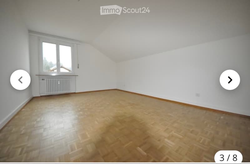 2 Bedroom Apartment for Rent in Reinach (3)