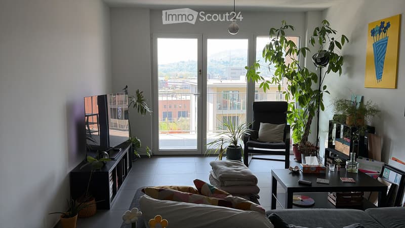 ZWEITMIETER GESUCHT  2.5 ZIMMER IN BALERNA (3)