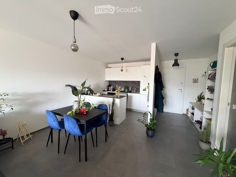 ZWEITMIETER GESUCHT  2.5 ZIMMER IN BALERNA (2)
