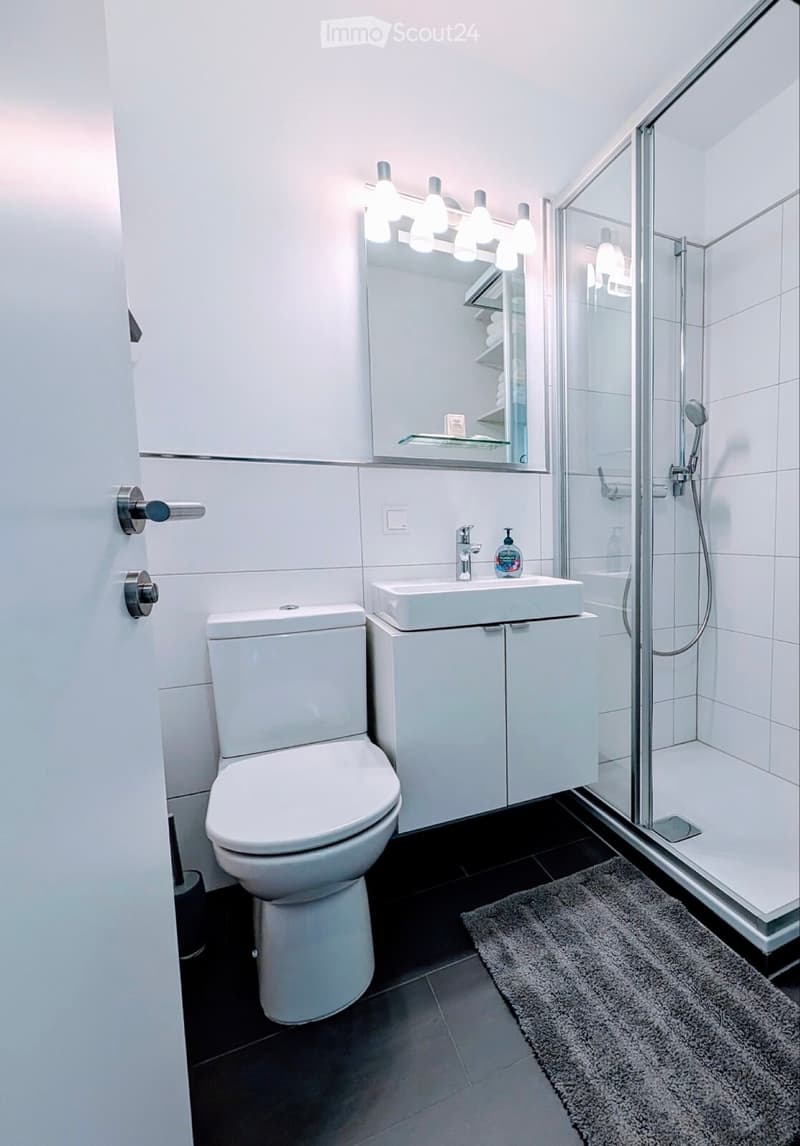 Chambre dans un appartement partagé / appartement à Zurich (3)
