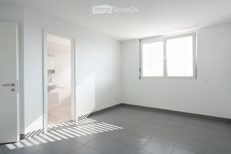 PRIVATO VENDE 3.5 luminoso e tranquillo a Pregassona (3)