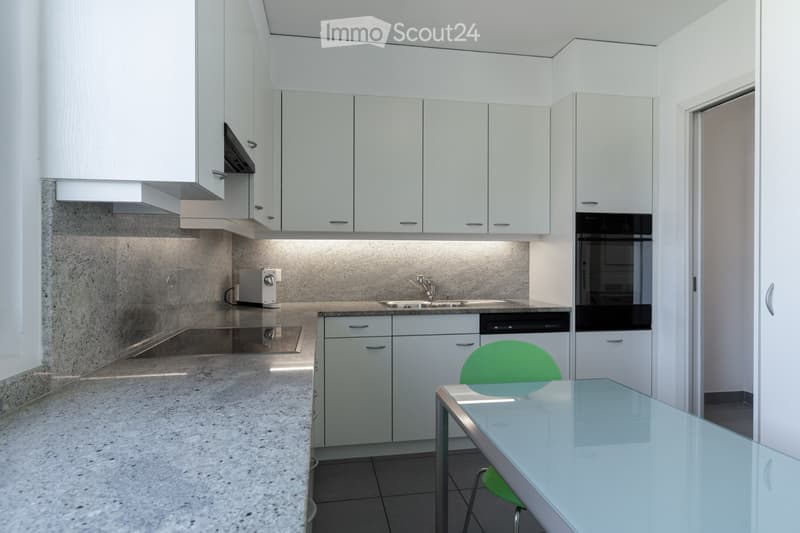 PRIVATO VENDE 3.5 luminoso e tranquillo a Pregassona (5)