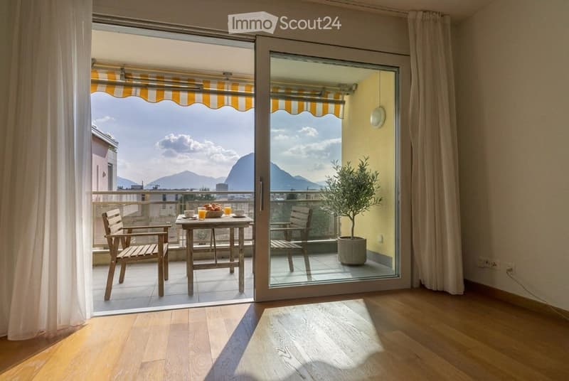 PRIVATO VENDE 3.5 luminoso e tranquillo a Pregassona (4)
