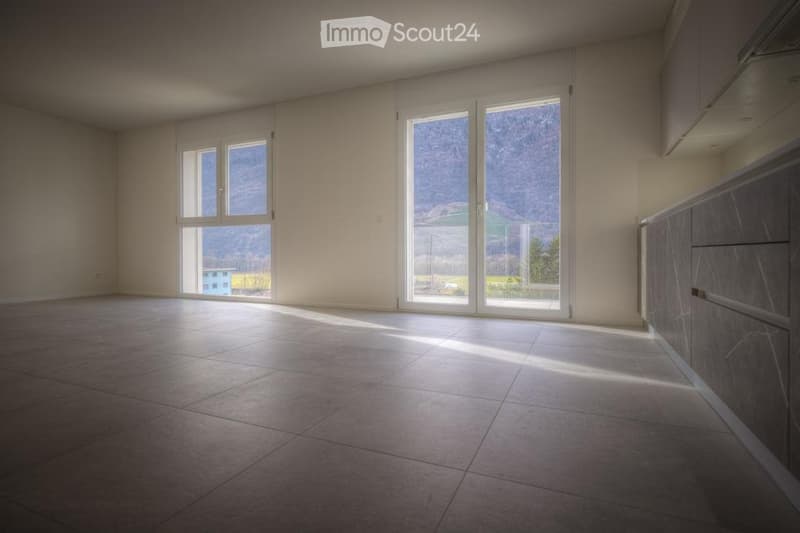 Apartment 2.5 for Sale or Rent to Buy (3)