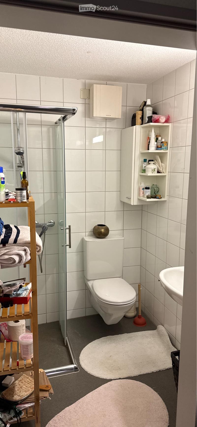 Appartement pour une durée limitée (sous-location) (2)