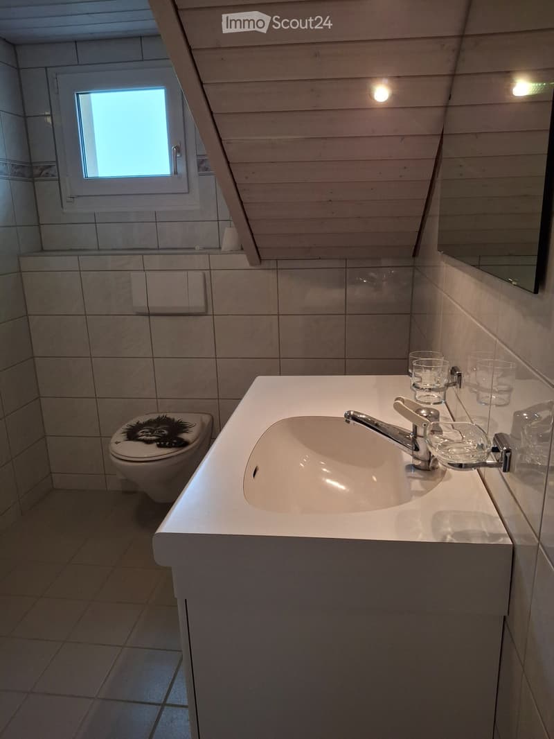 3 Pièces Appartement en Mansarde (5)