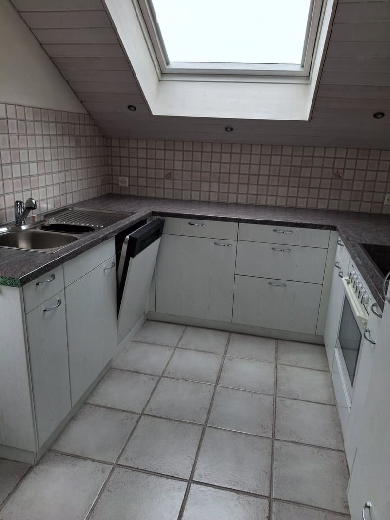 3 Pièces Appartement en Mansarde (3)