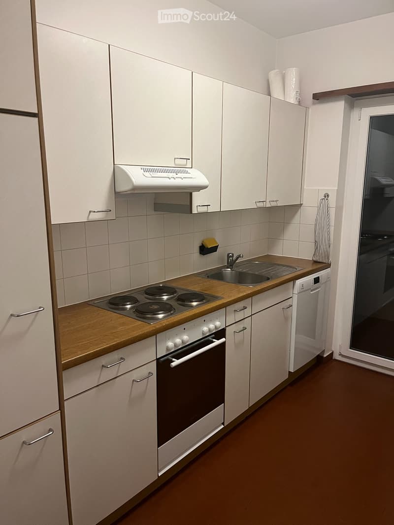 3.5-Room Apartment with Balcony in Central Lugano (3)