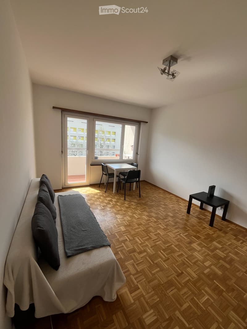 3.5-Room Apartment with Balcony in Central Lugano (4)