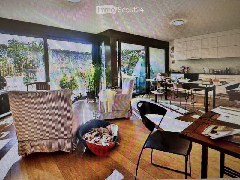 Schönes 2 1/2 Zimmer-Wohnung nahe dem See (Minusio) (5)
