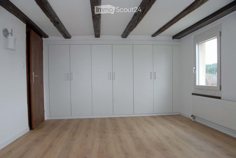 Renovated attic apartment (3)
