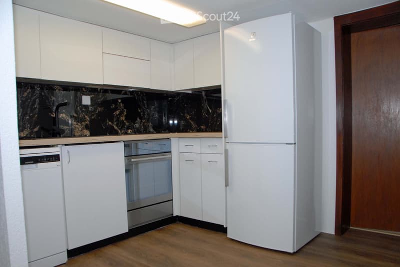 Renovated attic apartment (2)