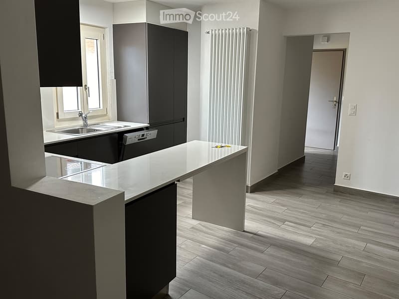 Bright and spacious apartment for rent (2)
