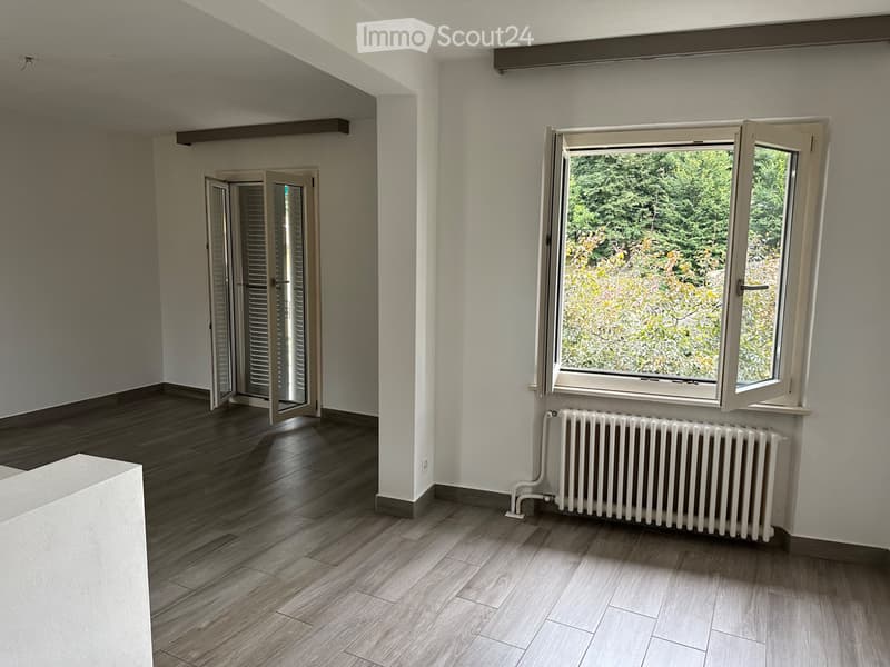 Bright and spacious apartment for rent (3)