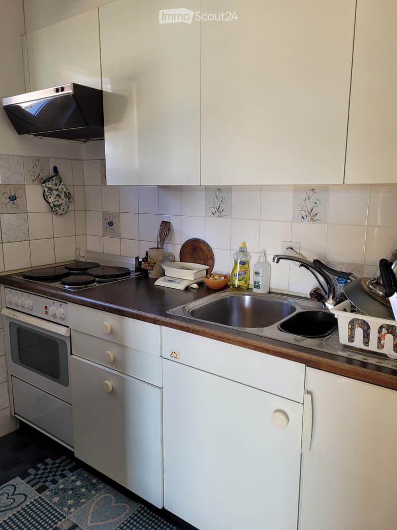Verkaufe 2,5 Zimmer in der Innenstadt von Minusio, auch als Renteneinkunft (3)
