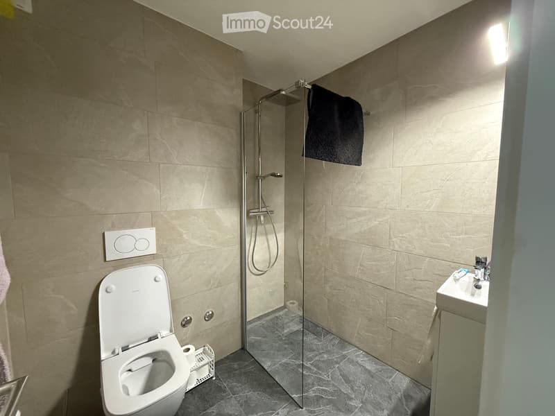 Appartamento 4,5 locali con balcone e posto auto (2)
