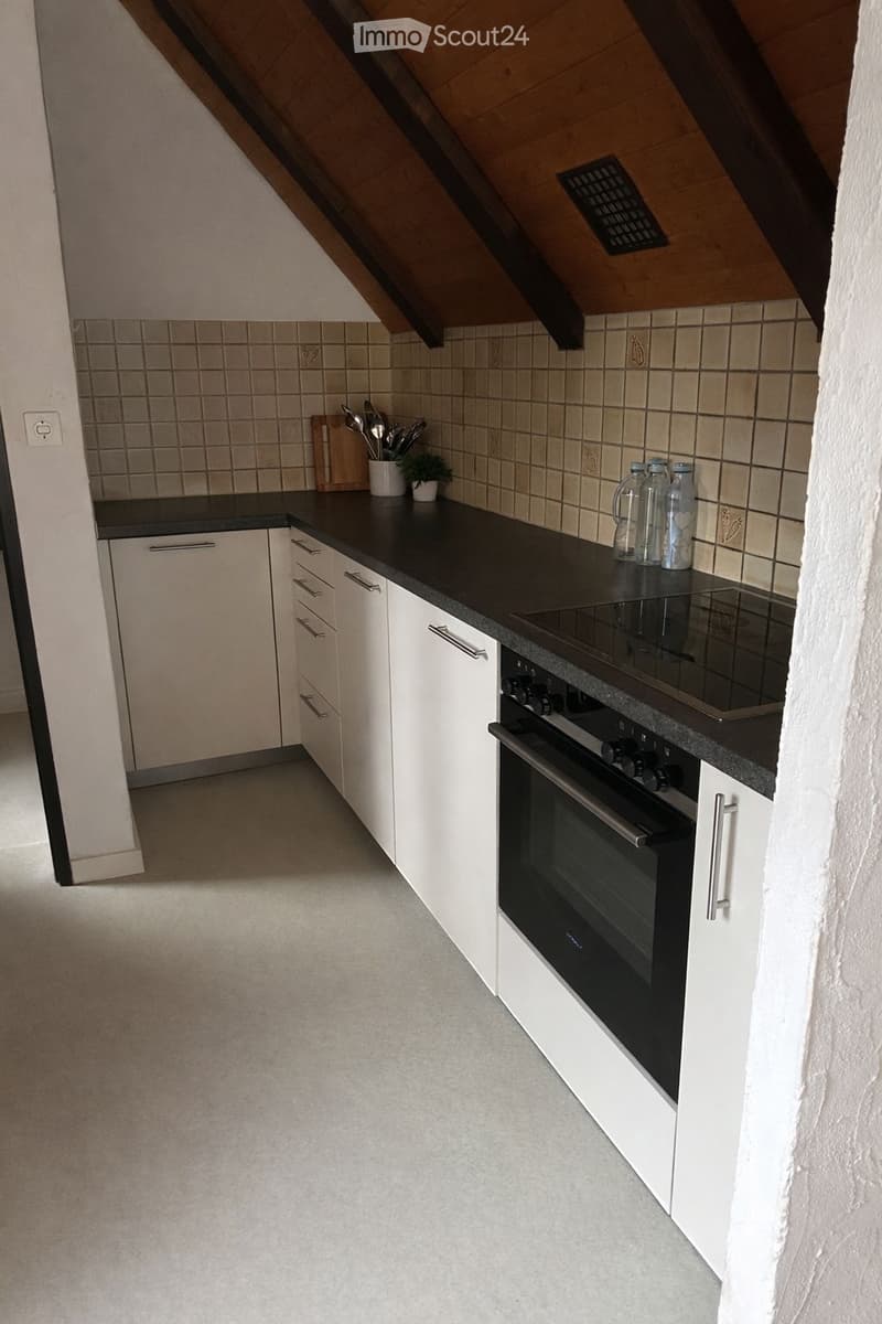 Charmant appartement 2.0 pièces en mansarde dans le centre du village de Frenkendorf (2)