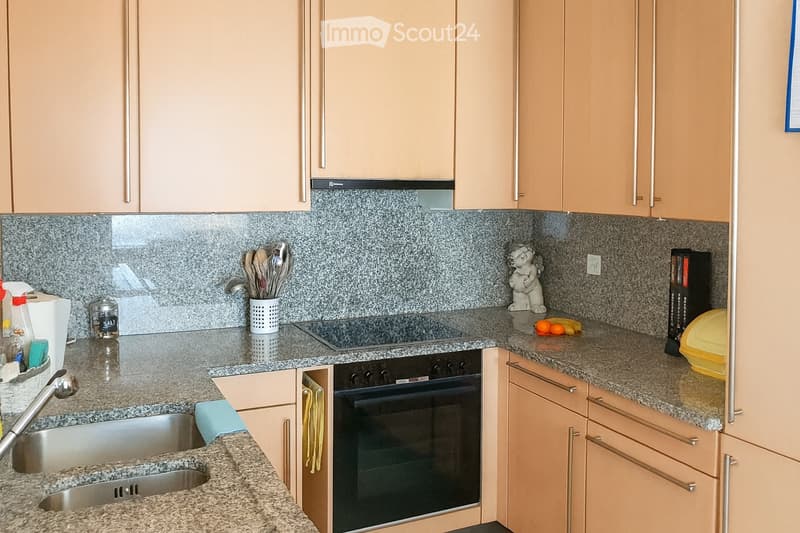 Elegante 2.5 locali 93 m² + terrazza unica 120 m² (8)