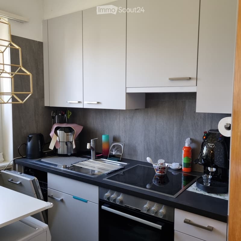 Wohnung 3,5 Zimmer (5)