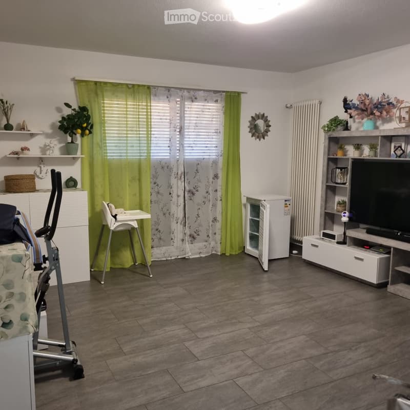 Wohnung 3,5 Zimmer (3)