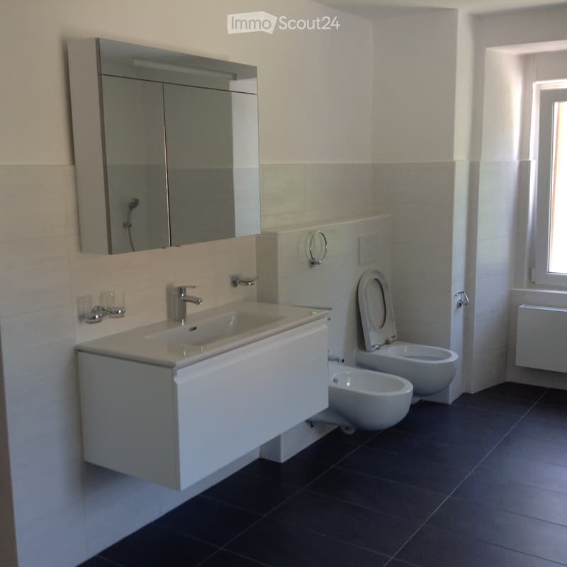 Appartement moderne et équipé à louer (3)